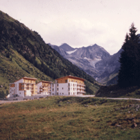 Alpinhotel